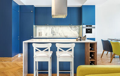classic-blue-kolor-roku-studio-mono.jpg